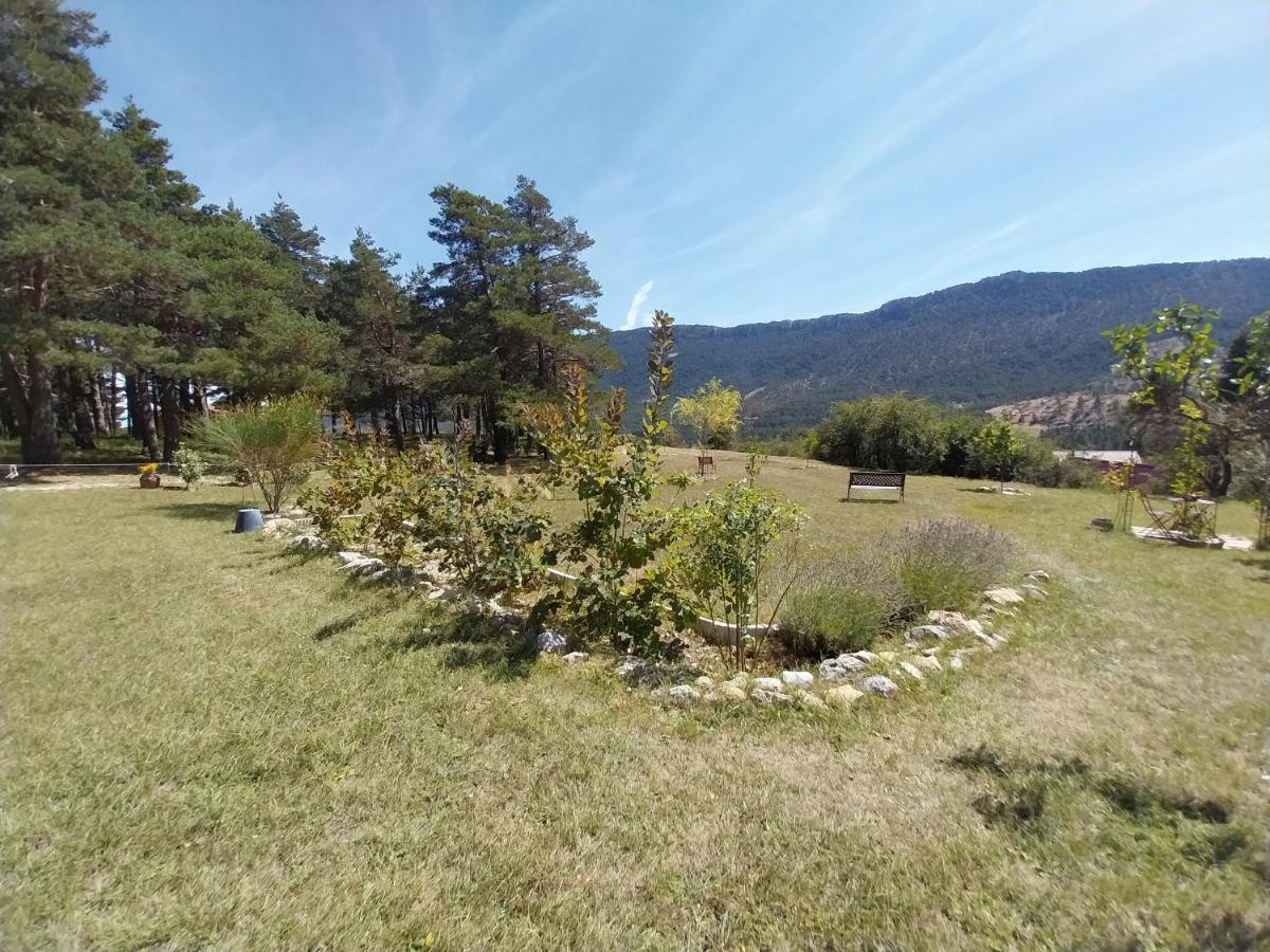 Petit Studio Dans La Prairie Saint-Auban  外观 照片